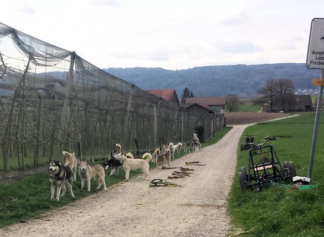 Ferienpass Mühlheim 2018 in Pfyn